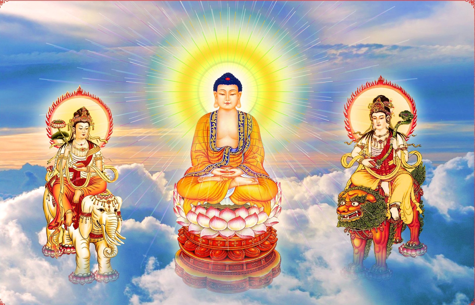 Kinh Viên Giác: Bài Thứ 10 - Chương Phổ Giác 5 Phật trả lời câu hỏi thứ ba: “phải làm những hạnh gì?”